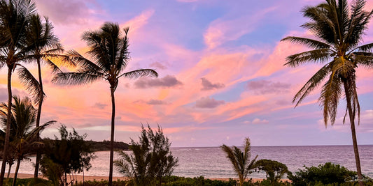 Blush Palms