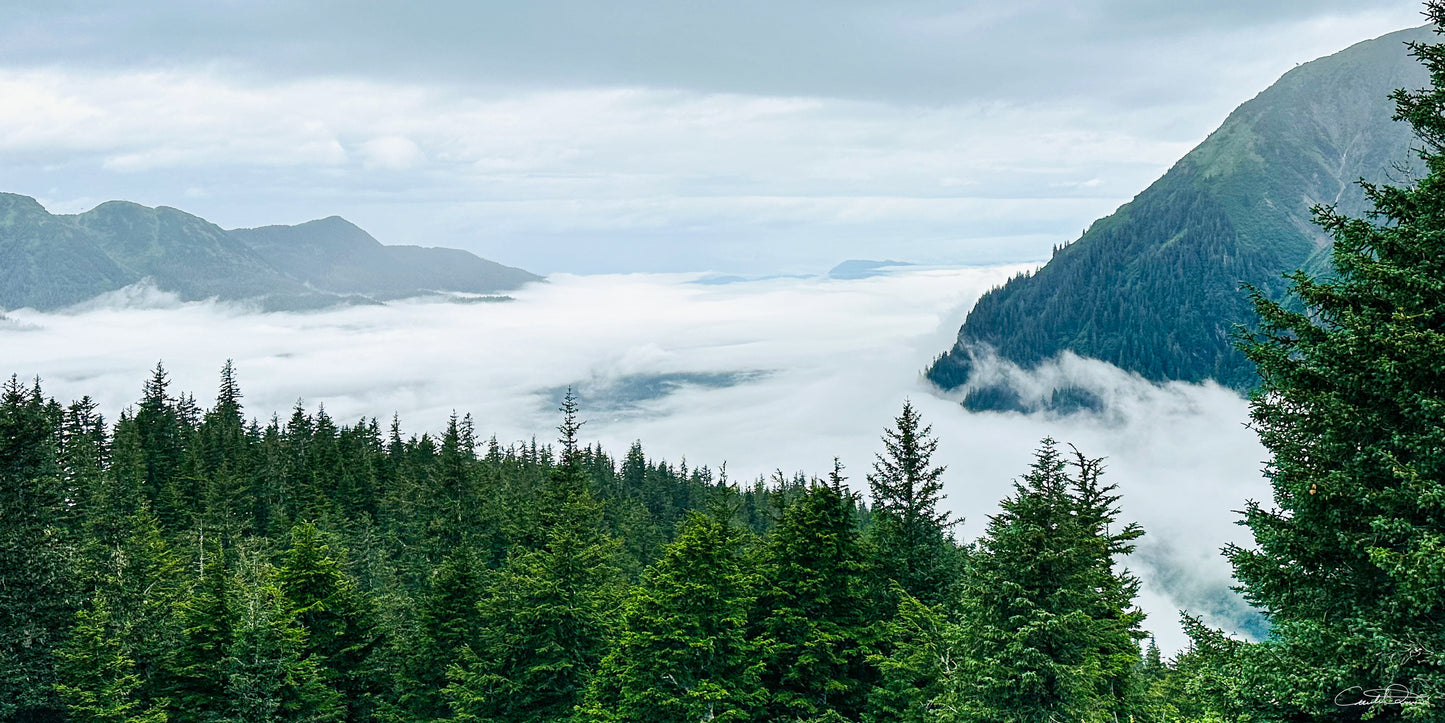 Veiled Valley