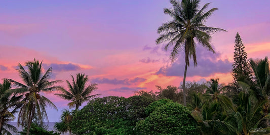 Pastel Palms