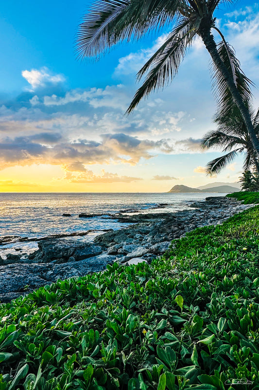 Oahu Glow